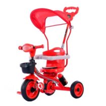 Allwyn Baby Tricycle Ziggy Plus-Red