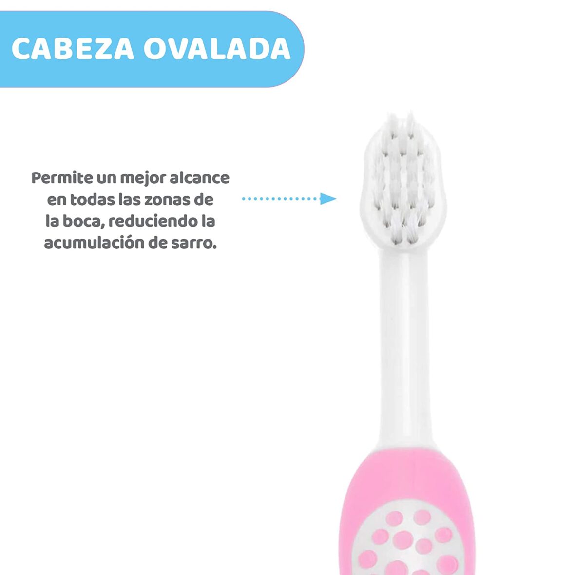 Chicco toothbrush 6m-3 years.
